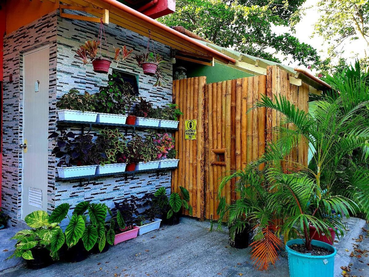 Mj'S Residences Garden Hotel Moalboal Exterior photo